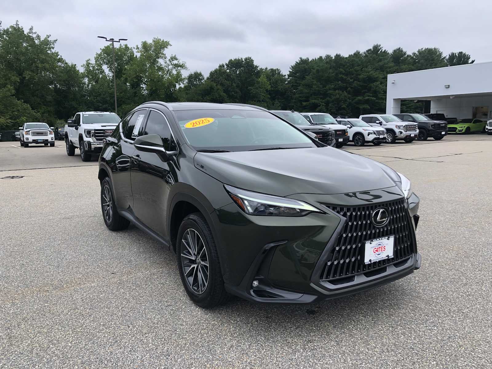 2025 Lexus NX NX 250