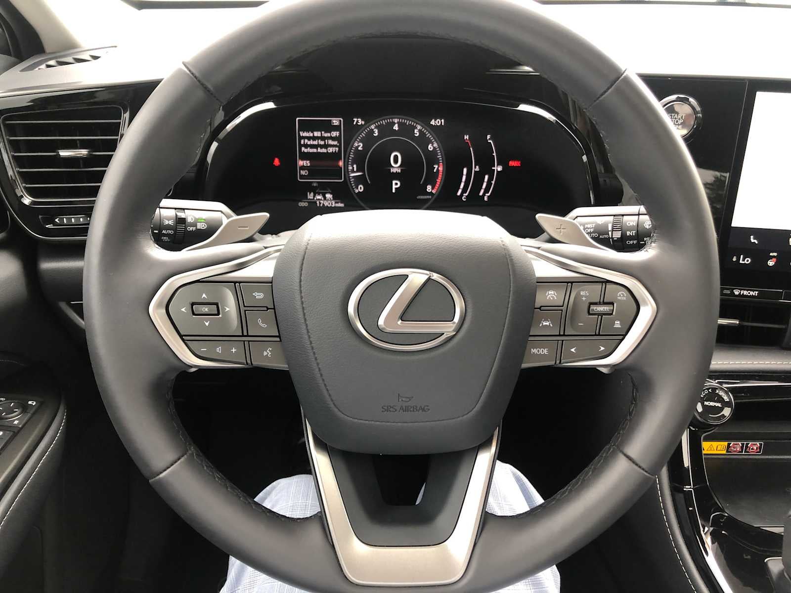 2025 Lexus NX NX 250