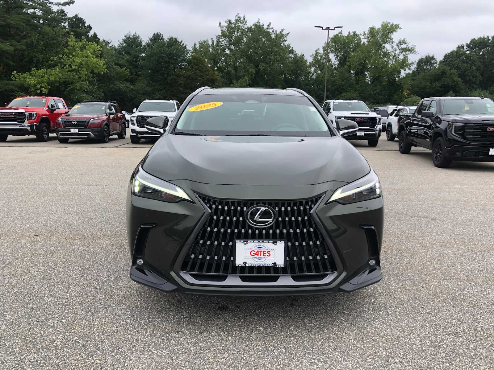 2025 Lexus NX NX 250