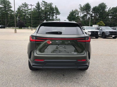 2025 Lexus NX NX 250