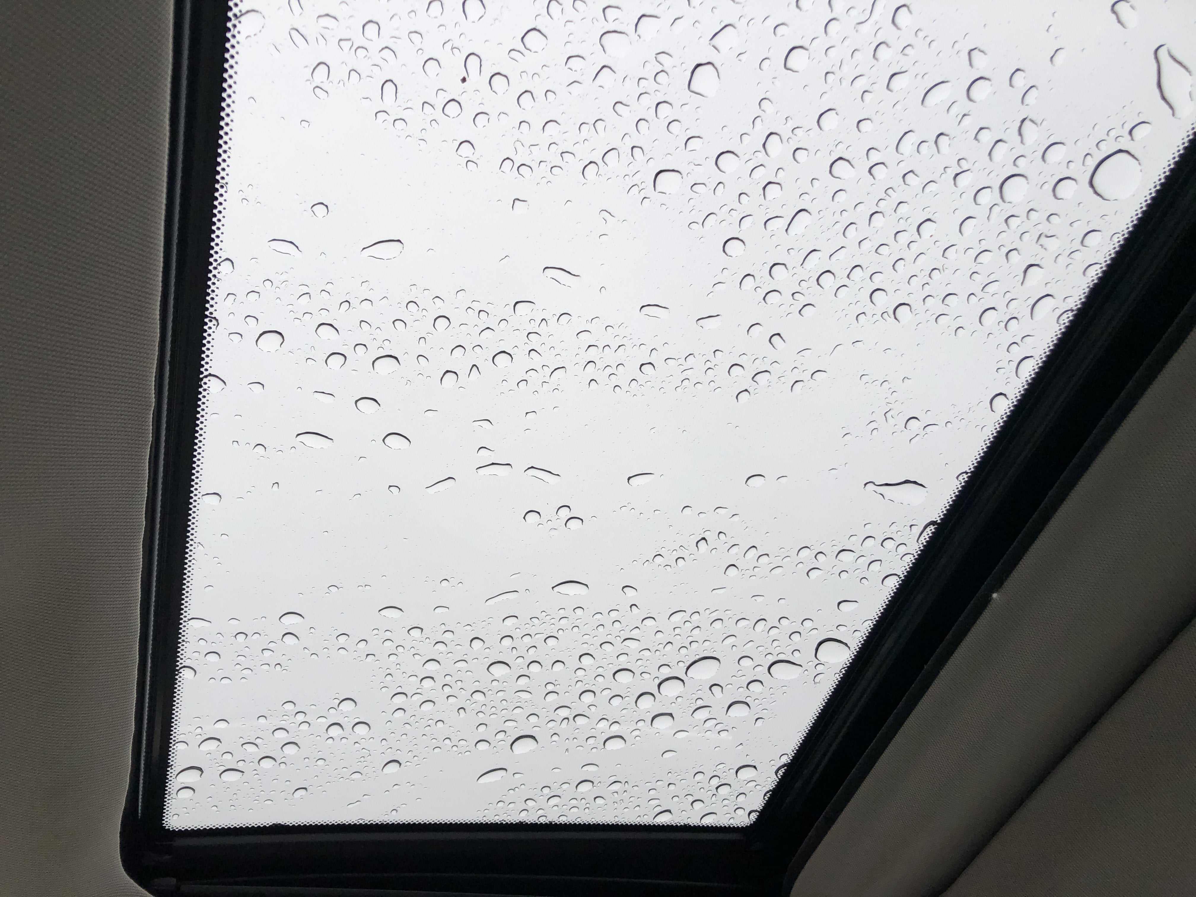 2020 Nissan Rogue Sport SL