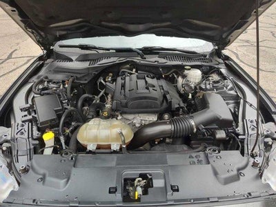 2019 Ford Mustang EcoBoost Fastback