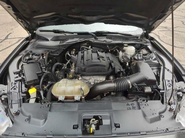 2019 Ford Mustang EcoBoost Fastback