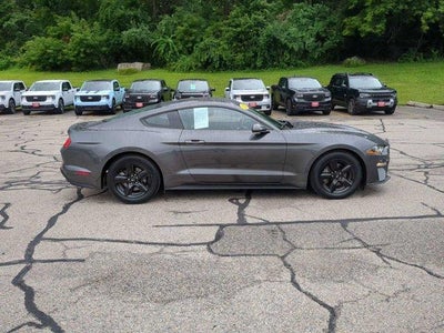 2019 Ford Mustang EcoBoost Fastback