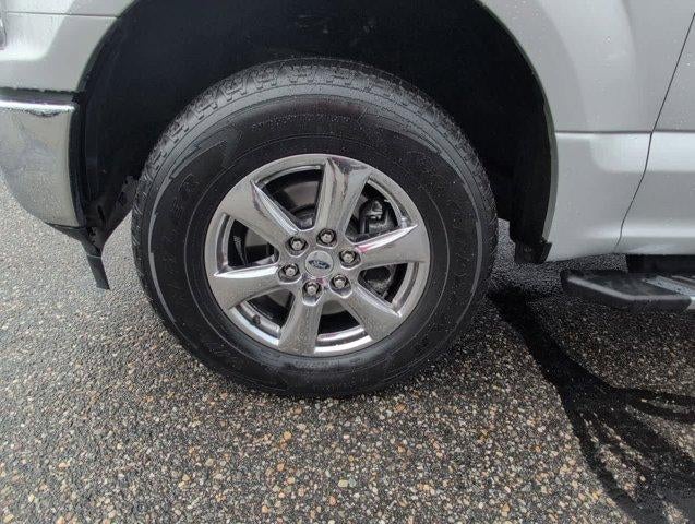 2019 Ford F-150 XL 4WD SuperCrew 5.5' Box