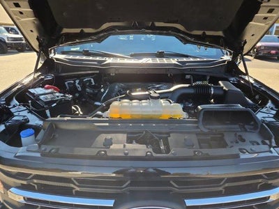 2025 Ford F-150 XLT 4WD SuperCrew 5.5' Box