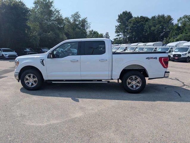 2023 Ford F-150 XLT 4WD SuperCrew 5.5' Box