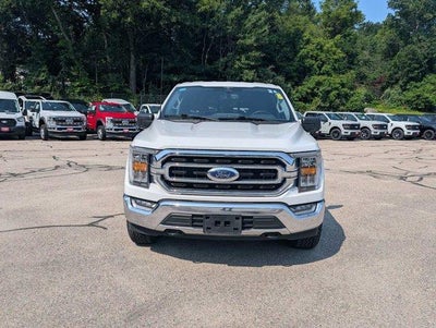 2023 Ford F-150 XLT 4WD SuperCrew 5.5' Box