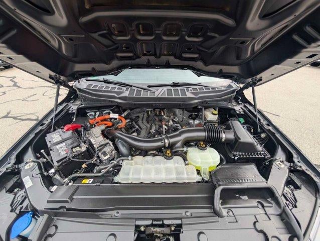 2023 Ford F-150 XL 4WD SuperCrew 5.5' Box