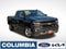 2019 Chevrolet Silverado 1500 LD Double Cab Standard Box 4-Wheel Drive LT Z71