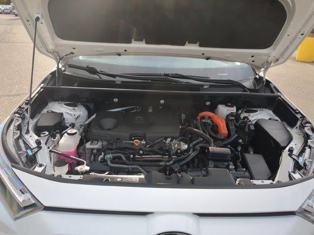 2024 Toyota RAV4 Hybrid LE AWD (Natl)