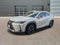 2020 Lexus UX 250h AWD